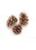 Pine cones